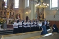 Zdjęcie: Stowarzyszenia Siedmiu na festynie w Krzelowie
