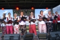 Zdjęcie: I Przegląd Zespołów Ludowych we Wronowie „Wronowiada 2014”