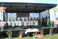 Zdjęcie: I Przegląd Zespołów Ludowych we Wronowie „Wronowiada 2014”