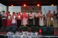 Zdjęcie: I Przegląd Zespołów Ludowych we Wronowie „Wronowiada 2014”
