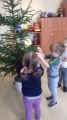 Zdjęcie: Muchomorki przygotowują się do Świąt Bożego Narodzenia