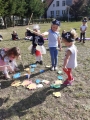 Zdjęcie: Ahoj Piraci - Dzień Przedszkolaka